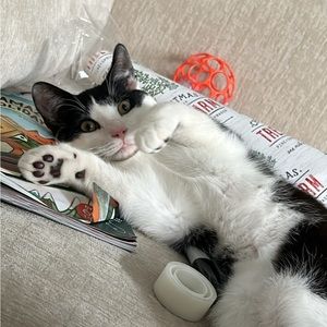 Meet your Posher, Emily